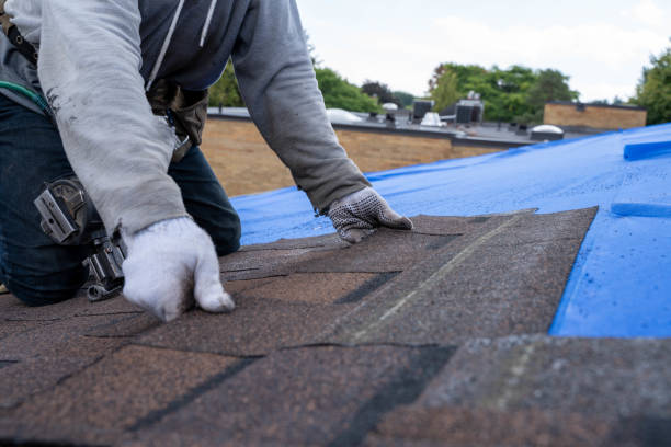 Best Roof Coating Services  in Parkville, MO